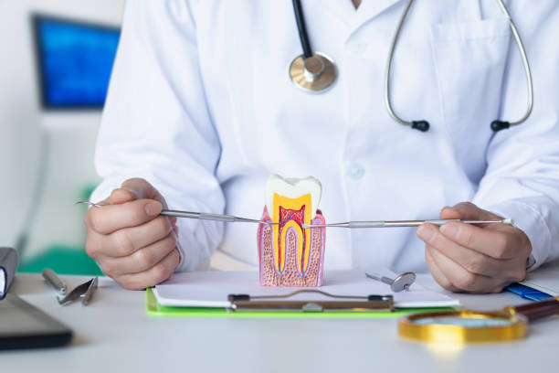 Best Emergency Dental Care for Sports Injuries in Fosston, MN